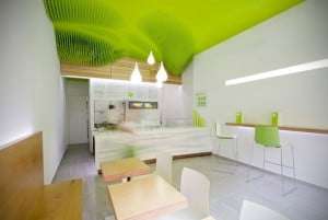 Frozen Yoghurt Store